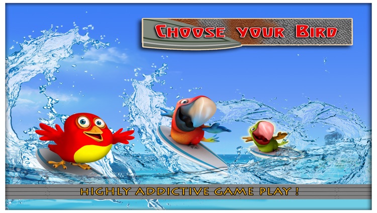 Birds on Boards FREE : Tiny Parrots Water adventure Race