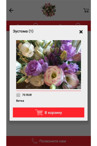 Доставка цветов в Ставрополе screenshot 2