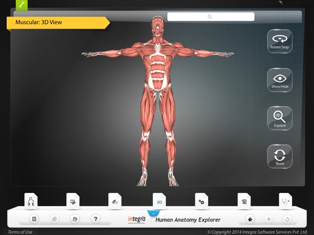 Human Anatomy Explorer - Muscular System(圖4)-速報App