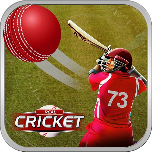 Real Cricket Icon