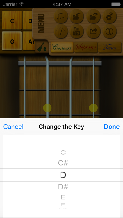 How to cancel & delete Play Ukulele from iphone & ipad 3