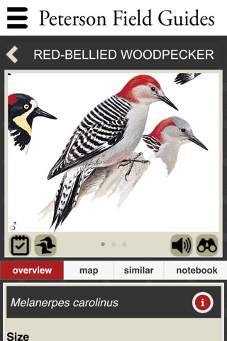 Peterson Field Guides - Backyard Birds screenshot 4