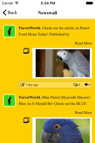 ParrotWorld screenshot 2