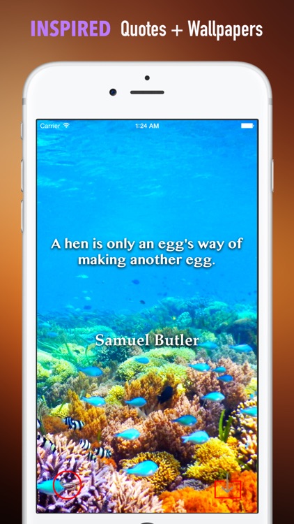 Wallpapers for Lombok: Quotes Backgrounds with Art Pictures screenshot-4