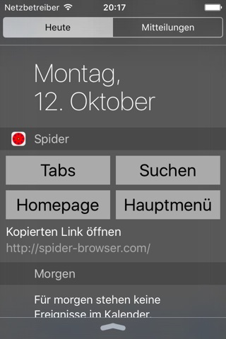 Spider (Browser) - Advanced Web Search screenshot 4