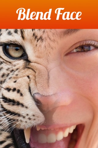 Eye Blender - Face Morph & Blends with Tiger, Leopard & Wolf for Instagram screenshot 2