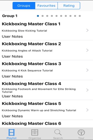 Kickboxing Master Class screenshot 2