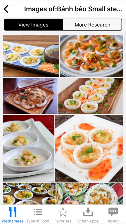 Guide To Vietnamese Food screenshot-3