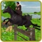 Horse Jumping Adventure Travel : Real Archer Horse Ridging & Racing Champion