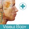 ***** Anatomy & Function offers hundreds of interactive presentations that review anatomy and basic human body functions