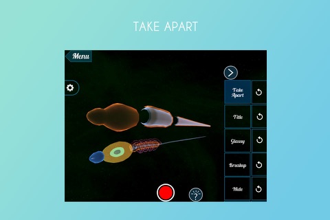 Virtual Reality(VR) Sperm Structure screenshot 2