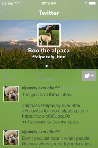 Alpaca World screenshot 4