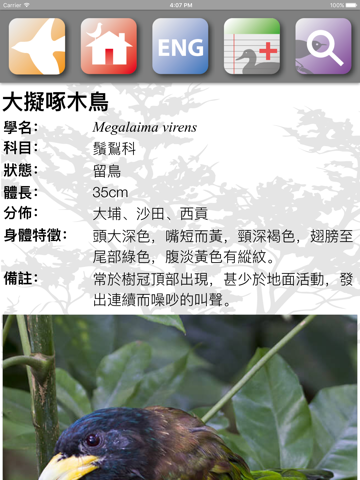 香港鳥類 screenshot 3