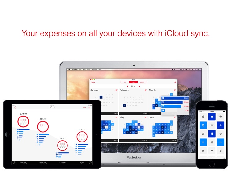 Next for iPad - Track your expenses and finances screenshot-4