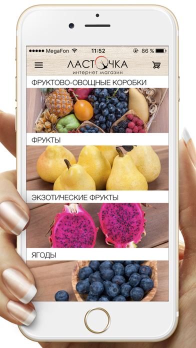 ЛастОчка - Интернет магазин screenshot 2