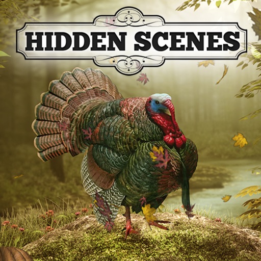 Hidden Scenes - Turkey Trot Icon
