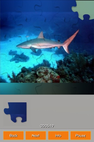 Coral Reefs Jigsaw Puzzles screenshot 3