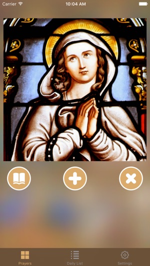 Lourdes Daily Prayers(圖2)-速報App