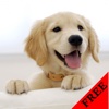 Dog Video and Photo Gallery FREE