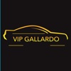 VIP GALLARDO, réservation de chauffeurs qualifiés