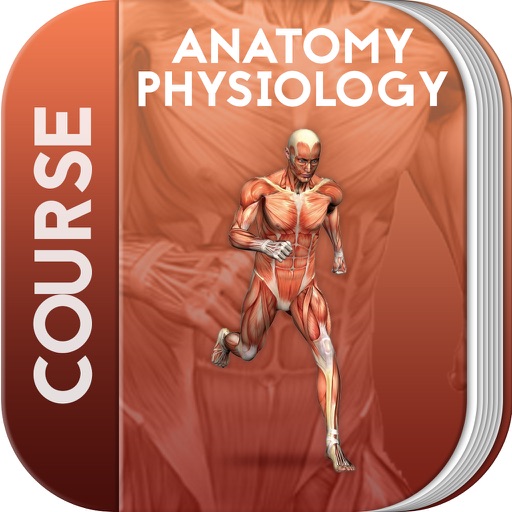 Course for Anatomy Physiology icon