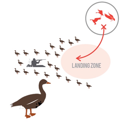 Greylag Goose Hunting Diagram Builder iOS App