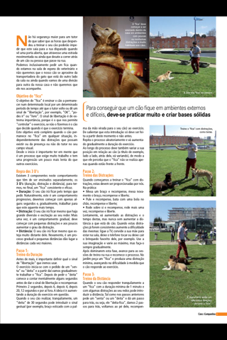 Cães & Companhia revista screenshot 3