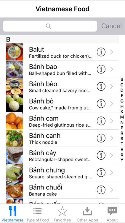 Guide To Vietnamese Food
