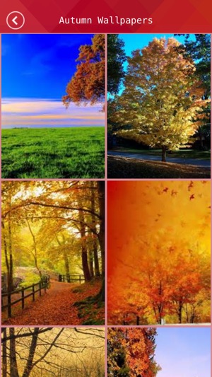 Free Cool HD Wallpapers Backgrounds & Retina Theme(圖2)-速報App