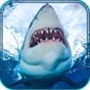 2016 Hungry Angry Shark Hunting Simulation - Interactive Aquarium Summer Season Hunting Pro