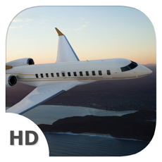 Activities of Flying Experience (Private Jet Edition) - Learn and Become Airplane Pilot