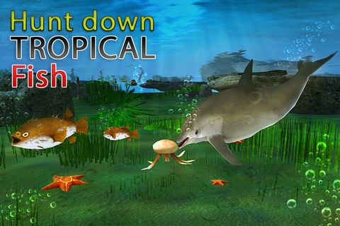 Dolphin Simulator 3D – Underwater Fish Simulation Game screenshot 4