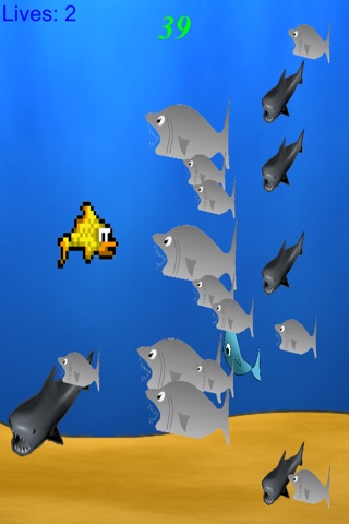 Shark Tap screenshot 3