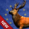 Bow Hunting Europe: Wild Animals Hunter & Sport Target Shooting