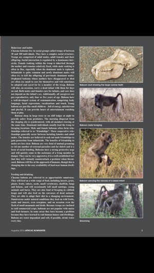 Africa's Bowhunter Magazine(圖3)-速報App