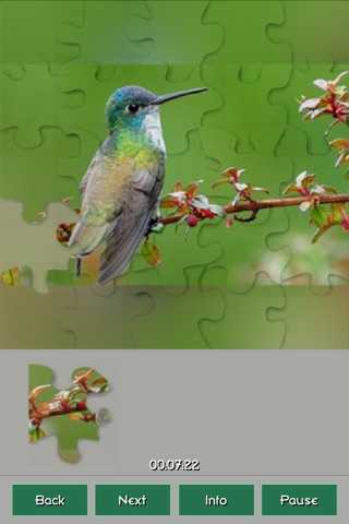 Hummingbirds Amazing Puzzles screenshot 3