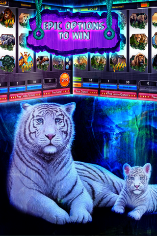 Wild Animals Kingdom Casino 7 Slots Machine Games screenshot 3