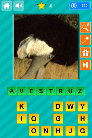 Close-up & Words - Animals Edition screenshot 4