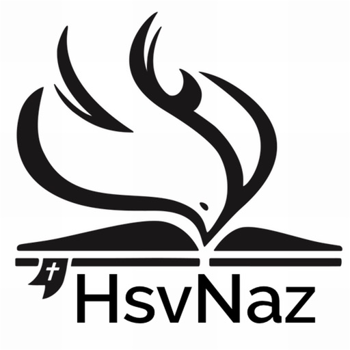 HsvNaz icon