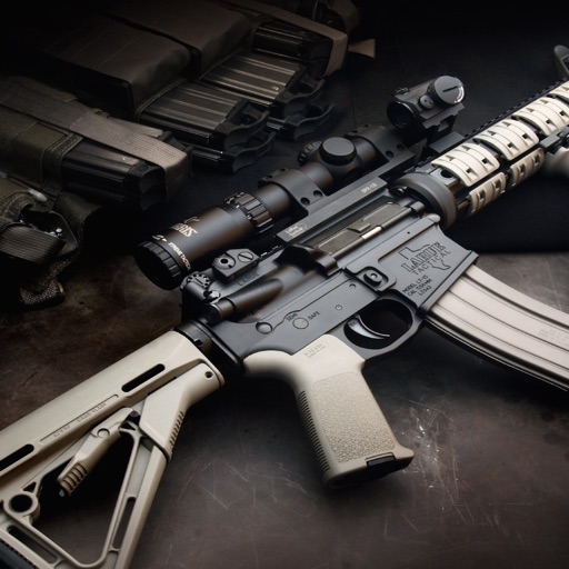 Gun Wallpapers And Backgrounds By Pastime Gaming