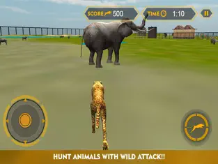 Image 1 Fauna simulador ataque guepardo 3D - perseguir los animales salvajes, cazan en esta aventura de safari iphone