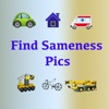 Find Sameness Pics