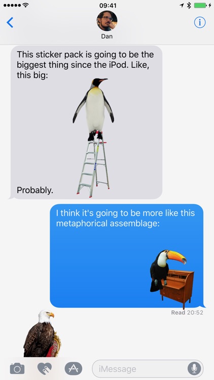 Birds on Furniture