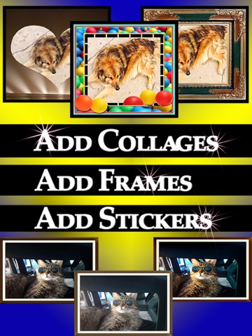 cPhoto Maker Pro - Photo Collage Maker - náhled