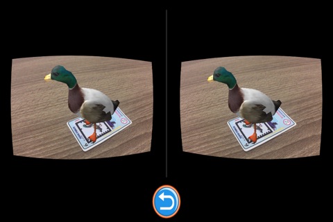 AR Birds(Augmented Reality + Cardboard) screenshot 2