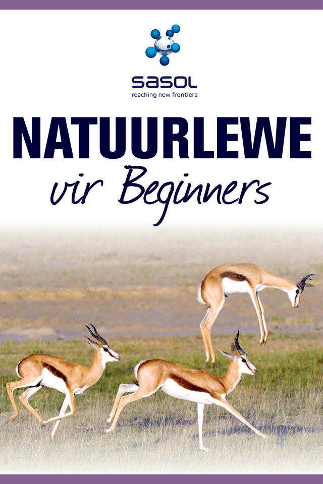 Sasol Natuurlewe vir Beginners Lite Blitsfeite, fotos en videos van 46 Suider-Afrikaanse diere