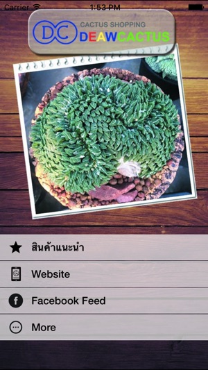 Deawcactus Nursery(圖1)-速報App