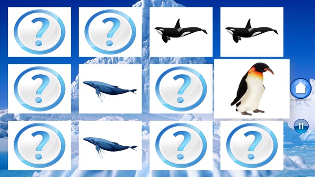 Pingvin Oversat Pa Engelsk