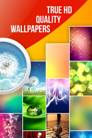 Theme Wallpapers & HD Backgrounds & Cool Ringtones screenshot 2
