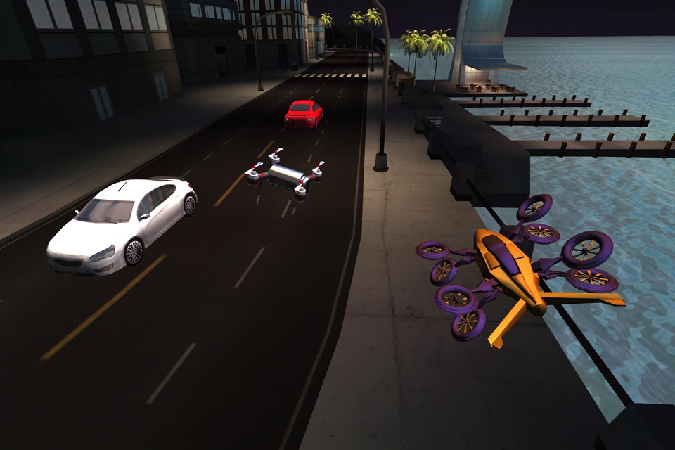 Drone Racing screenshot 3